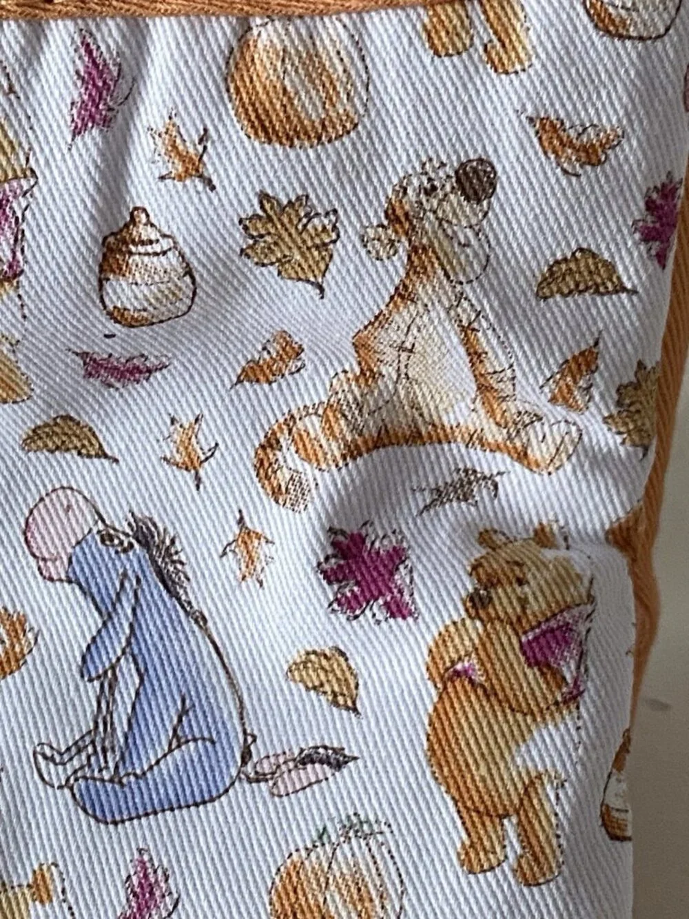 Disney pack winnie